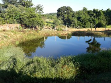 Terreno - Venda - Centro - Capela do Alto - SP