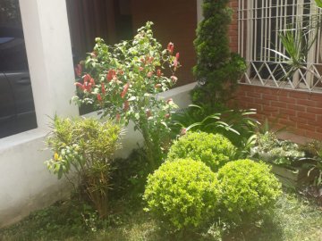 Casa - Venda - Jardim Bonfiglioli - Sao Paulo - SP